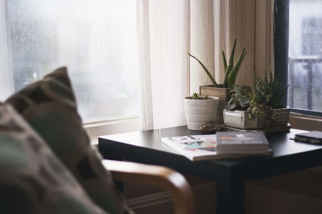 Top 10 Ideas to Make Your Living Room Look Amazing! 1 home plants