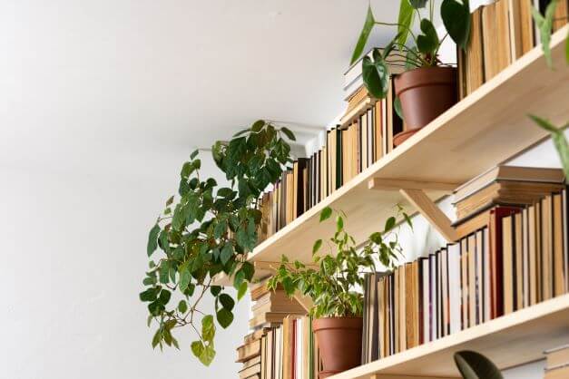 What is Biophilic Design and Why is it Important? 1 plants and books on a shelf
