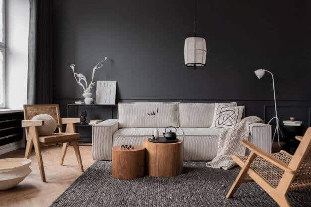 8 Paint Colour Ideas For Your Home In 2023 7 Black wall in living room with light coloured furniture