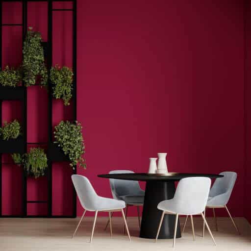8 Paint Colour Ideas For Your Home In 2023 1 Magenta walls with shelving in front