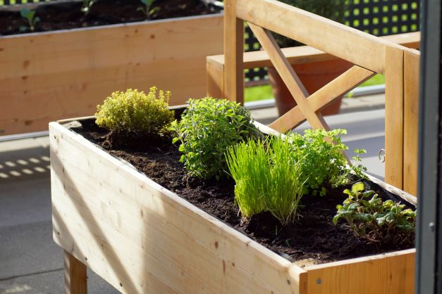 Raised beds brings the garden up to you and maximises space