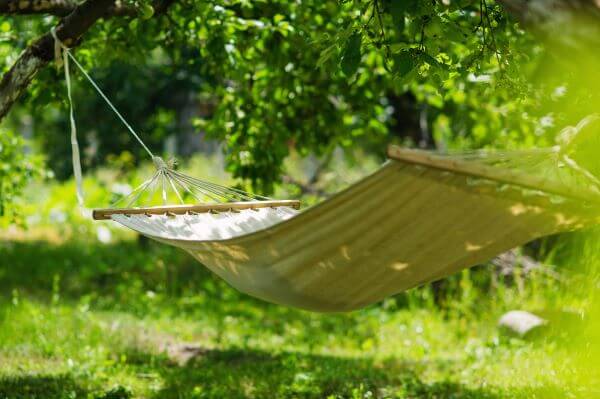 A hammock strung between two trees