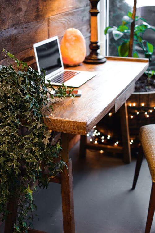 Upcycled desk with plants on is the  perfect spot to work